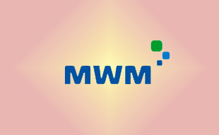 ✓ MWM 0336 8103 Запчасть MWM 